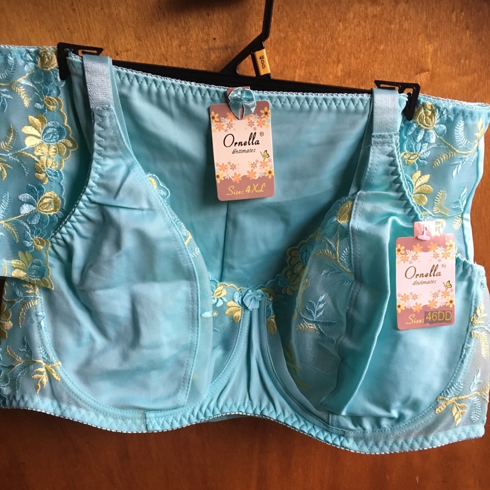 NWT Ornella Bra And Panty Set